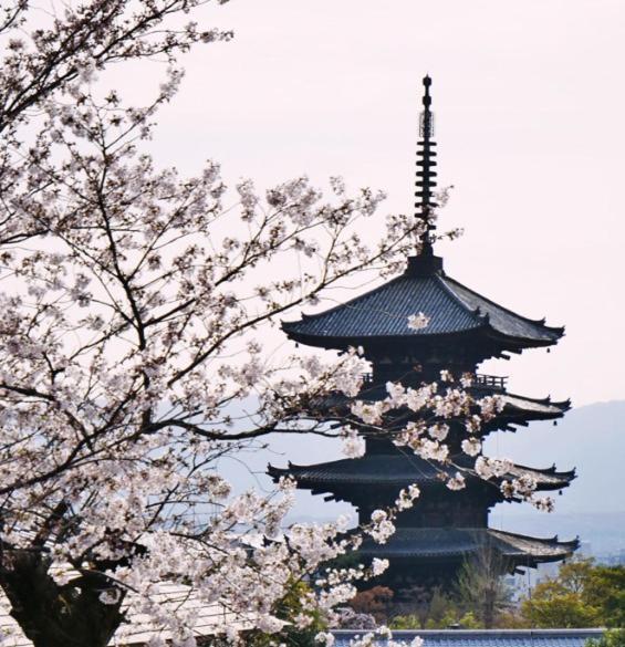 Villa 駐車場付き!近徒歩2分!難波,道頓堀エリアまで1駅!Usjまで15分!観光好立地の戸建! à Ōsaka Extérieur photo